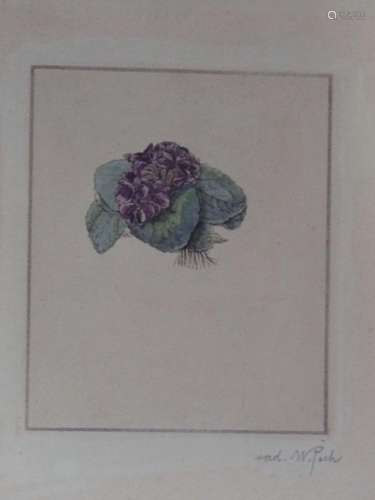 W.Pech "Flowers",Color etching,signed,12x10,5cm, f...