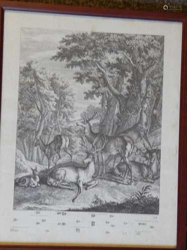 "Resting herd of red deer",copperplate engraving.1...