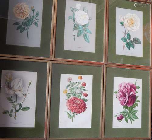 Set of 6 views "Flowers",color lithographs,framed ...