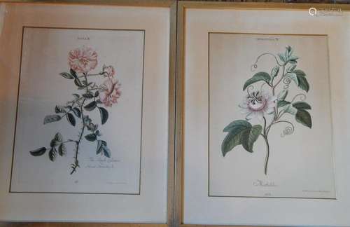 Mixed lot 2 x "Flowers",color etchings,frame size ...