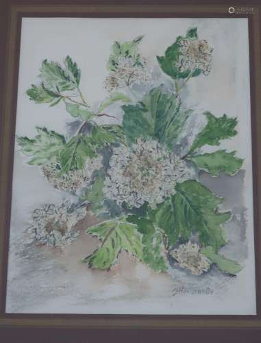 Jan Hansen "Hydrangea",watercolor,picture detail c...