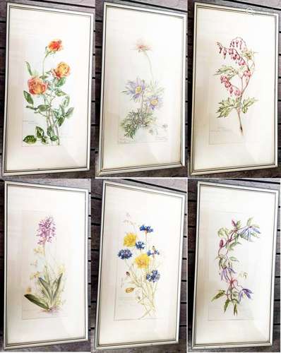 Gerda Arends-Prahl, mixed lot of 6 views "Flowers"...