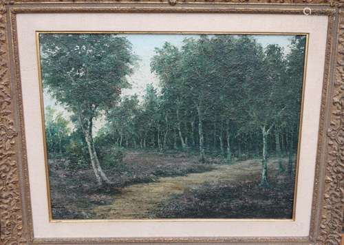 Summer forest landscape