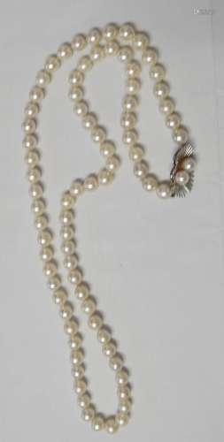 Pearl necklace with 585 white gold clasp