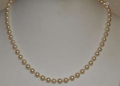 Pearl necklace with 585 yellow gold clasp