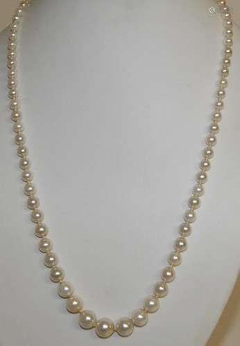 Pearl necklace in gradient shape with 925 silver clasp