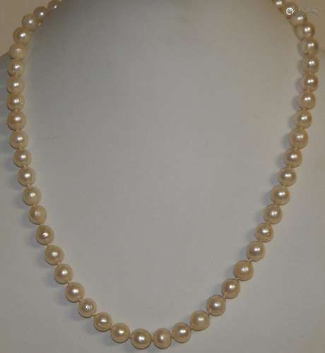 Pearl necklace with 585 white gold clasp and set with 5 rubi...