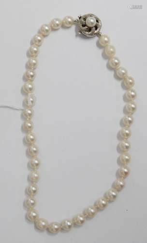 Children pearl necklace with 585 white gold clasp