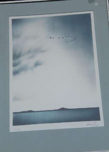 Wisner "Migratory birds",color lithograph, signed,...