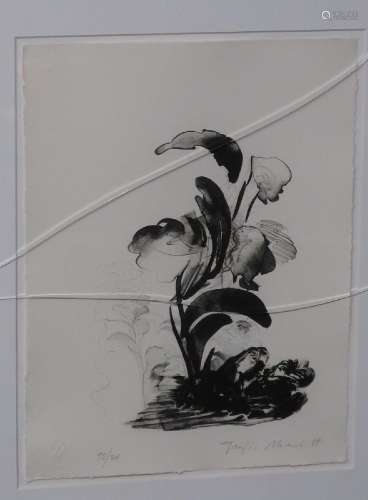 Fujio Akai (*1943) "Untitled",lithograph,ca.30x21c...