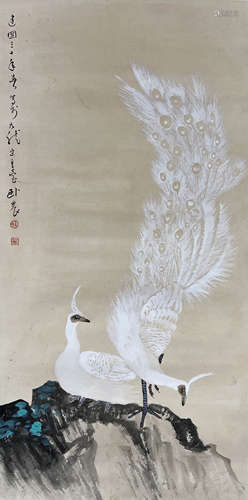 苏卧农 孔雀图 立轴