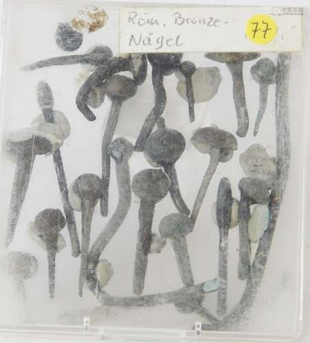 Convolute ca.20 roman bronze nails