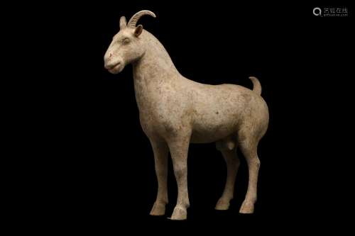 CHINESE HAN DYNASTY TERRACOTTA RAM - TL TESTED