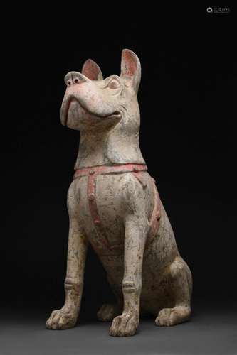 HUGE CHINESE HAN DYNASTY TERRACOTTA DOG