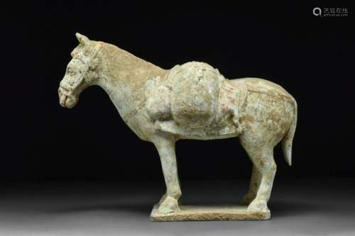 CHINESE TANG DYNASTY TERRACOTTA HORSE