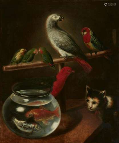 Continental School, Cat with exotic birds & fish