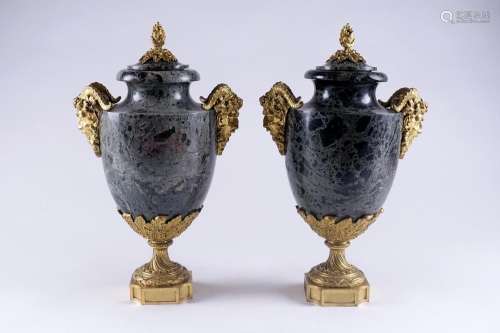 Paire de grands vases couverts ornementaux Louis XVI.