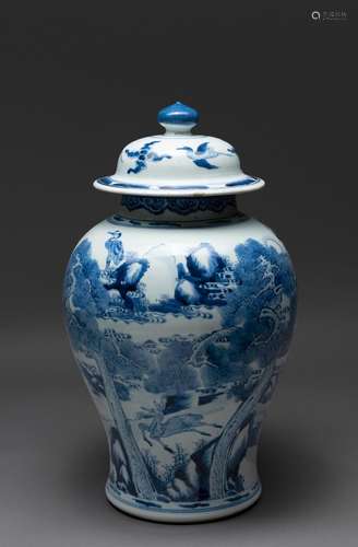 A CHINESE BLUE AND WHITE JAR AND COVER, KANGXI PERIOD (1662-...