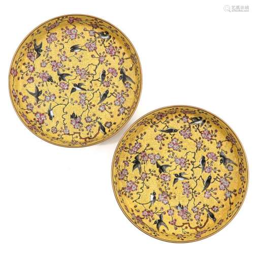 A Pair of Yellow Decor Plates