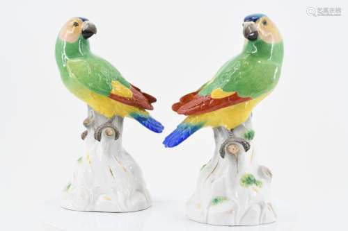 Pair of parrots on tree trunk