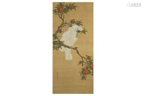 ATTRIBUTED TO SHEN QUAN (1682 - 1760). A white parrot