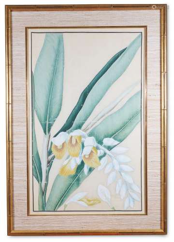 COMPANY SCHOOL (20TH CENTURY), STUDY OF AN ORCHID