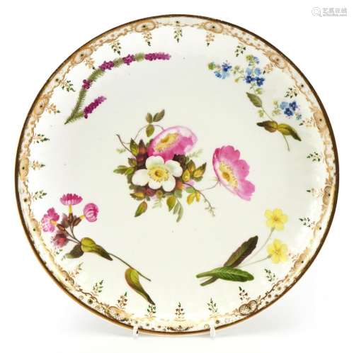 Early 19th century Swansea porcelain plate hand painted in t...