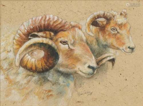 Hawkey - Portrait of two rams, heightened watercolour and pe...