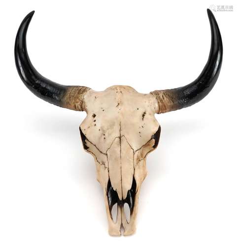 Buffalo skull design wall plaque