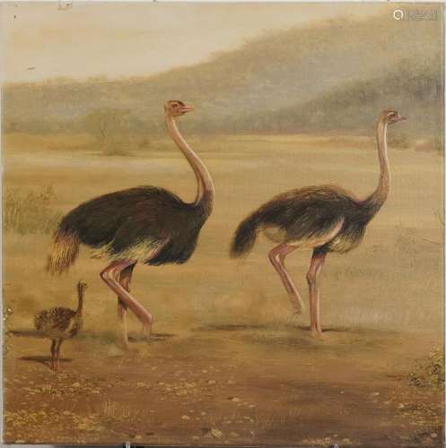 Three ostriches before a landscape, oil on canvas, unframed,...