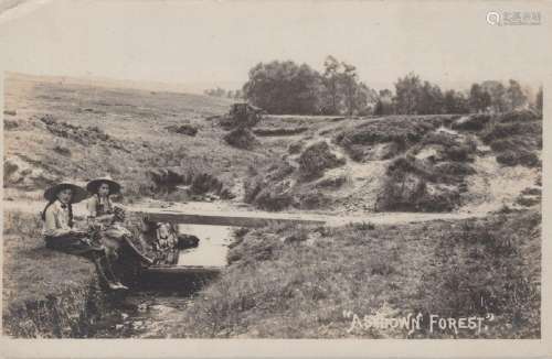 ASHDOWN FOREST. An album containing approximately 380 postca...