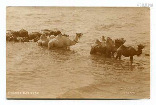 BOGNOR REGIS. A collection of approximately 62 postcards and...