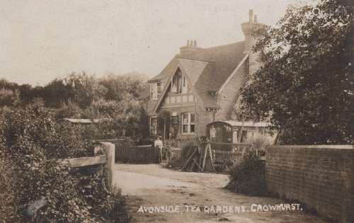 CROWHURST. A collection of 13 postcards of Crowhurst, East S...