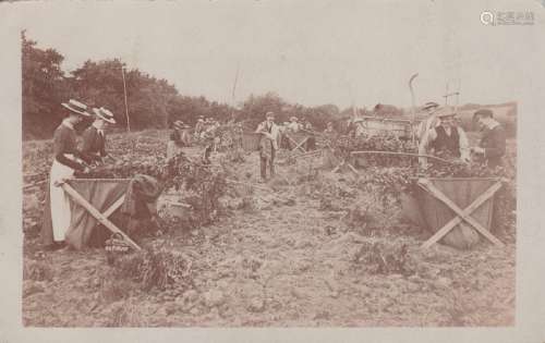 EAST SUSSEX. A collection of approximately 95 postcards of E...