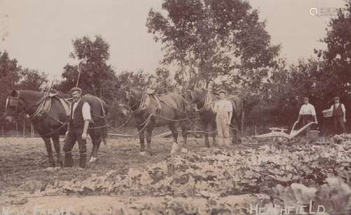 HEATHFIELD. A collection of 36 postcards of Heathfield, East...