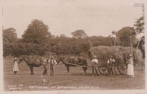 HENFIELD. A collection of 48 postcards of Henfield, includin...