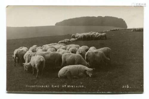 SUSSEX DOWNS. An album containing approximately 205 postcard...