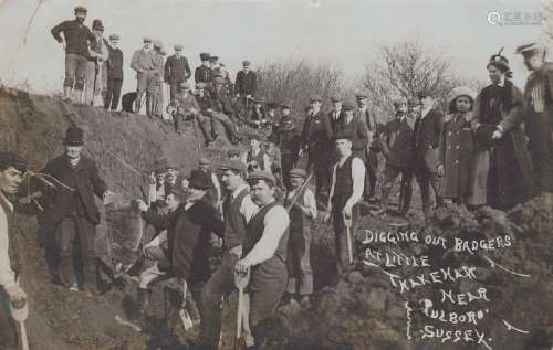 THAKEHAM. A collection of 29 postcards of Thakeham, West Sus...