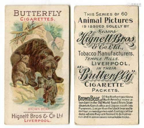 A group of 14 Hignett Bros 'Animal Pictures' cigarette cards...