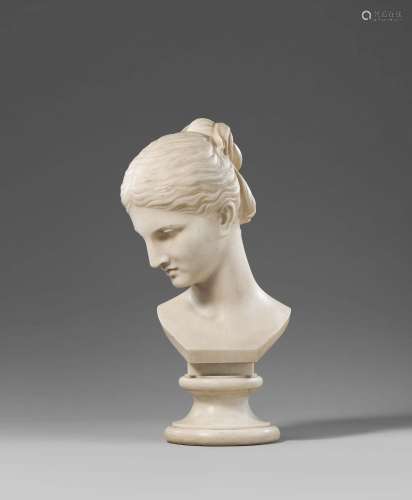 Bust of a Young Woman