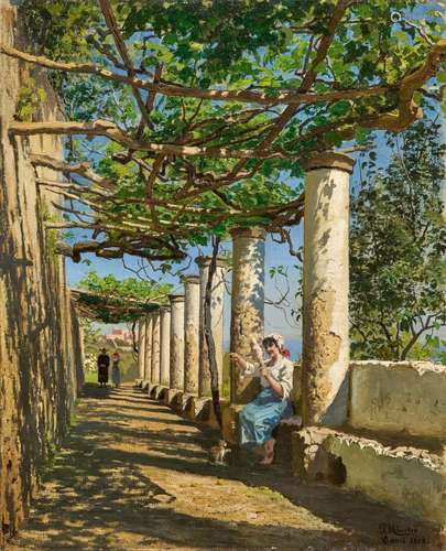 Pergola with Old Grapevines on Capri