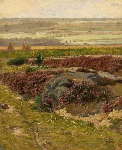 Heath Landscape