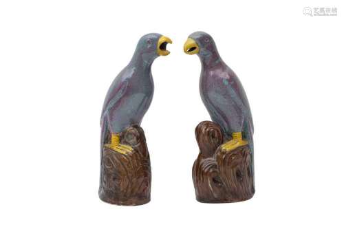 A PAIR OF CHINESE ROBIN`S EGG-GLAZED MODELS OF PARROTS