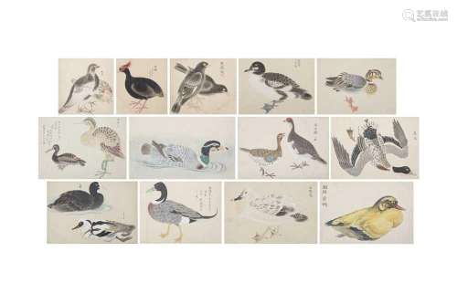 UNKNOWN ARTIST Thirteen Japanese bird studies, kachōga