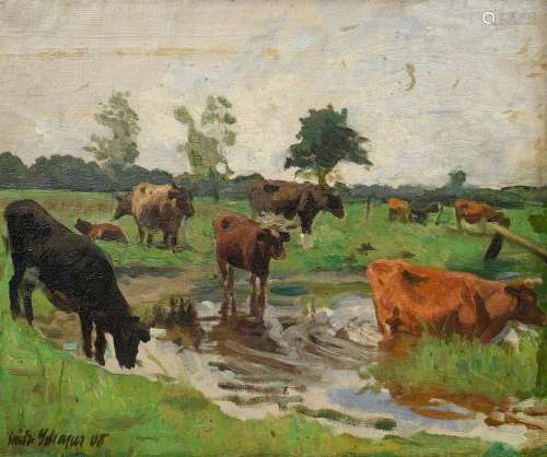 Schaper, Friedrich (1869-1956) "Kühe