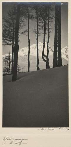 Steiner, Albert (1877-1965) „Wintermo