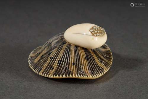 Tomotada Elfenbein Netsuke „Pilz“, partiell geschwärzt, sign...