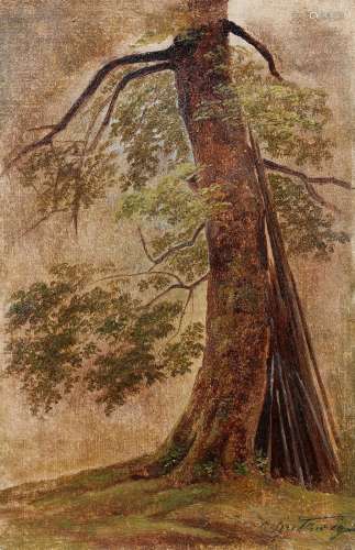 Carl Spitzweg, Old Beech Tree