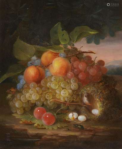 George Forster, Still Life with Fruit and Bird`s Nest