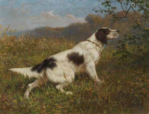 Heinrich Sperling, Münsterlander Hunting Dog